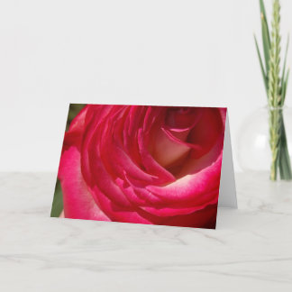 Cartão Rose10