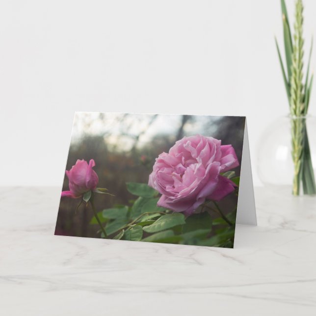 Cartão Rose Photo Standard, 5" x 7" Folded Greeting Card (Frente)