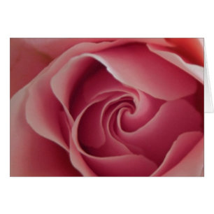 Cartão Rosebud