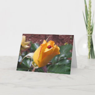 Cartão Rosebud amarelo com joaninha