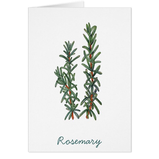 Cartão Rosemary (Frente)