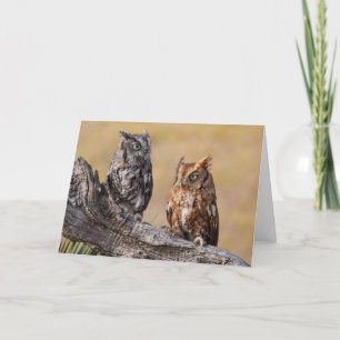 Cartão Rosting em Árvore - Ecrã Oriental