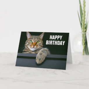 Cartão Rosto de Gato Tabby Cinza   Feliz Aniversário