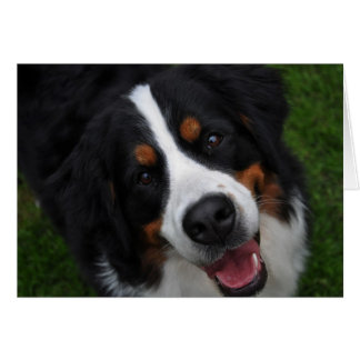 Cartão rosto sorridente