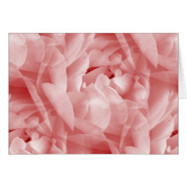 Cartão Rosy Rosa