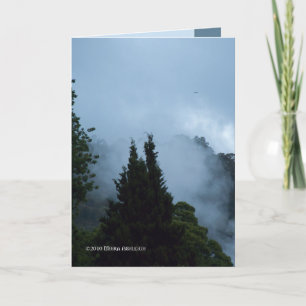 Cartão Rotarua Morning