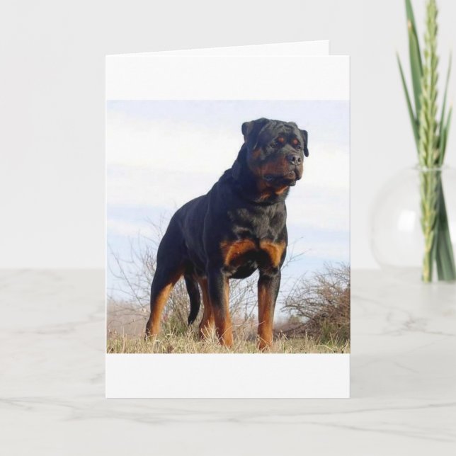 Cartão Rottweiler (Frente)