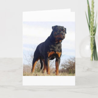 Cartão Rottweiler