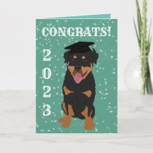 Rottweiler de Graduação