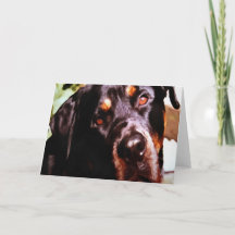 Rottweiler Portait Artístico Pet
