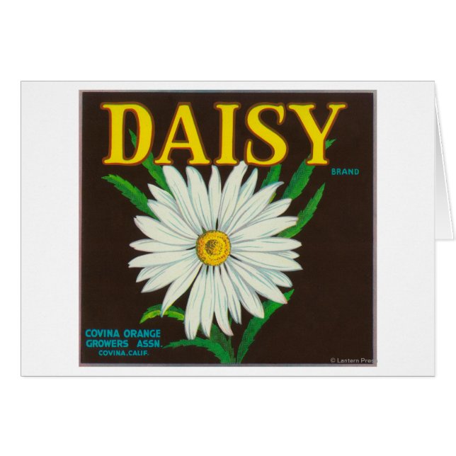 Cartão Rótulo de Taxa de Citros de Marca Daisy (Frente Horizontal)