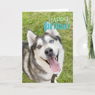 Cartão Rouco Happy Birthday Card dog