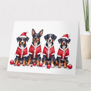 Cartão Roupa de Natal do Cão Montanhês Suíço Grande de Pa