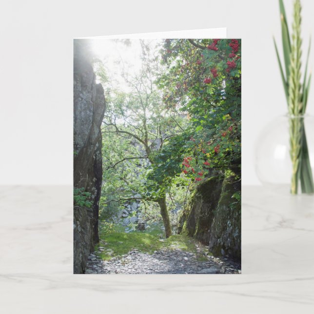 Cartão Rowan Tilberthwaite Quarry (Frente)