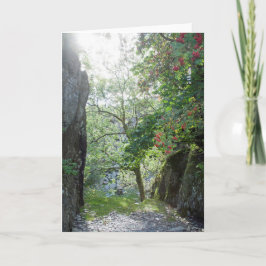 Cartão Rowan Tilberthwaite Quarry