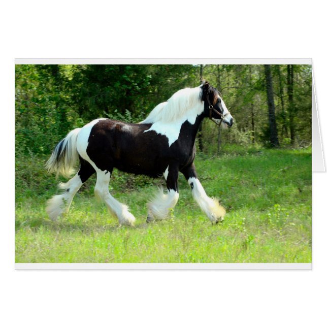 Cartão Roxie (Frente Horizontal)