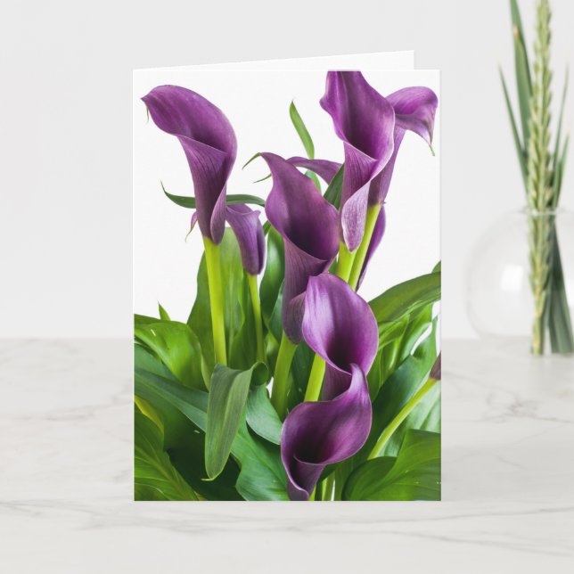 Cartão Roxo Calla Lily (Frente)