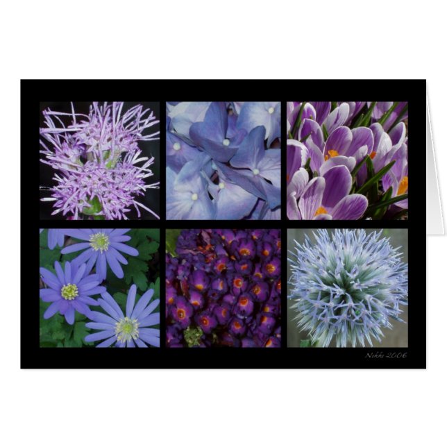 Cartão roxo da flor (Frente Horizontal)