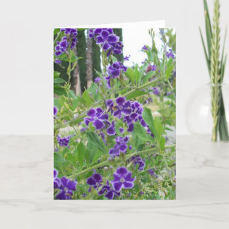 Cartão roxo das flores