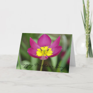 Cartão roxo e amarelo do dia das mães da flor