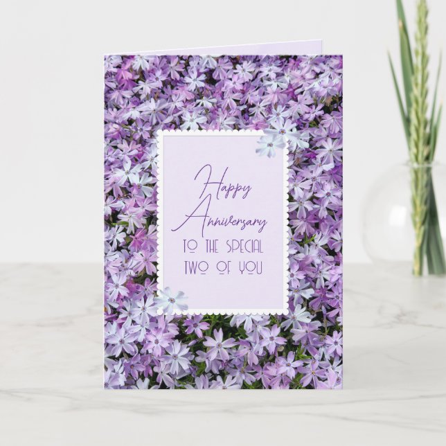 Cartão Roxo Phlox Para Feliz Aniversário (Frente)
