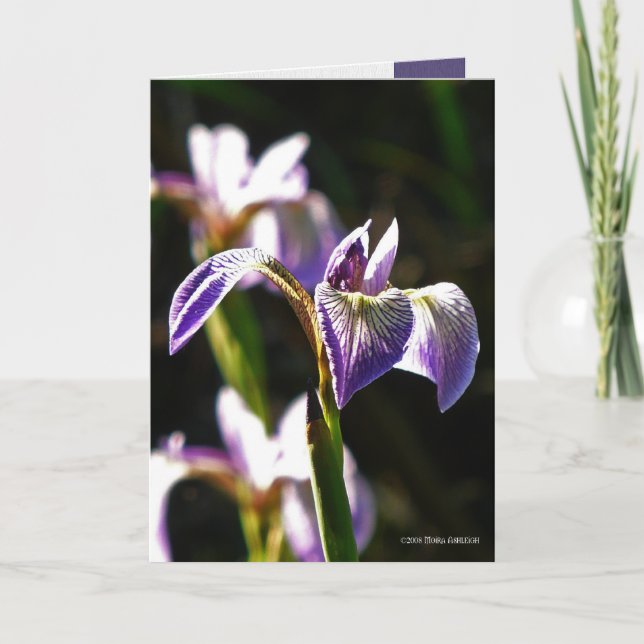 Cartão Roxo selvagem (Frente)