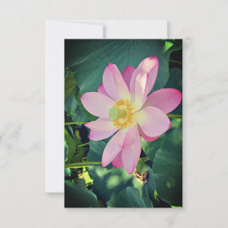 Cartão RSVP A vibrant lotus flower