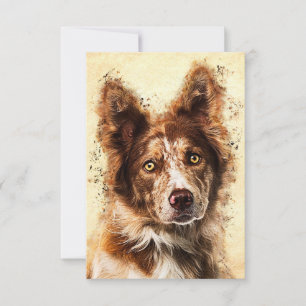 Cartão RSVP Arte Collie de Borda do Cachorro