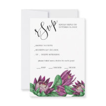 Arte de Aquarela Deep Purple King Protea