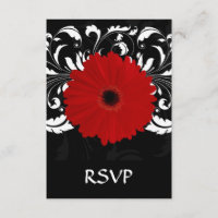 Bright Red Gerbera Daisy em Preto