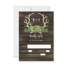 Casamento Chic do Barn Wood Antlers Succulent Coun