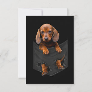 Cartão RSVP Dachshund No Meu Pocket Dachshund Weiner Dog Dift