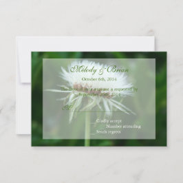 Cartão RSVP de cabeça de semente branca fluffy bon