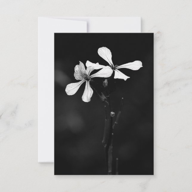 Cartão RSVP floral preto e branco mínimo (Frente)