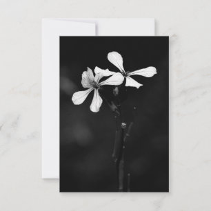 Cartão RSVP floral preto e branco mínimo