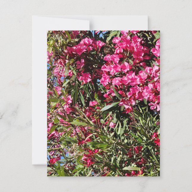 Cartão RSVP Floral rosa (Frente)
