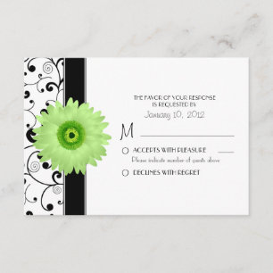 Cartão RSVP Green Gerbera Daisy com Design de rolagem negra RS