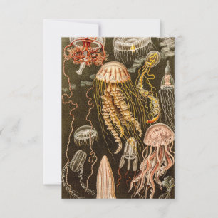 Cartão RSVP Ilustração de Peixe-Geleia Antiquado de Vintage