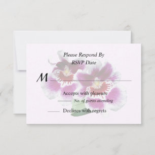 Cartão RSVP Orquídeas de Miltoniopsis rosa e branca