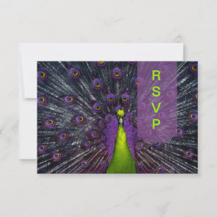 Cartão RSVP Pasta de Peacock PixDezines