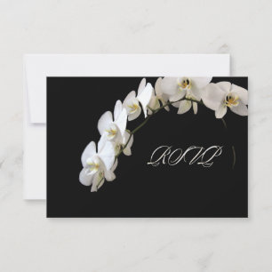 Cartão RSVP PixDezines orquídeas/phalaenopsis