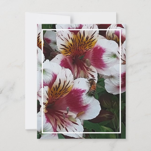 Cartão RSVP Placa de receptáculo de Honeybee e Alstromerias (Frente)