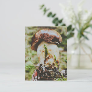 Cartão RSVP Porcini Mushroom em Floresta Sueca
