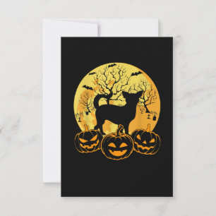 Cartão RSVP Presentes legal do cachorro Chihuahua Dog Dover do