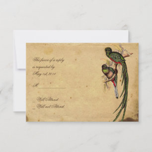 Cartão RSVP Vintage Quetzal Bird Elegant Card