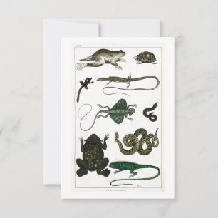 Cartão RSVP Vintage Reptiles Cobra Lizard