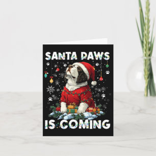 Cartão Rua. Bernard Árvore de Natal Decorações de Cachorr