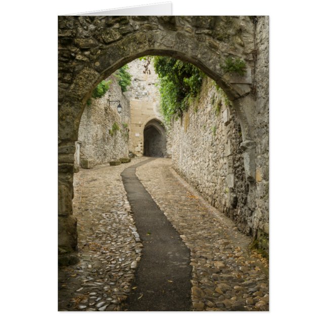 Cartão Rua cinza Cobblestone, França (Frente)