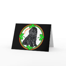 Rua, Cockapoo do Dia de Patrick