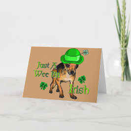 Cartão Rua, Dia de Patrick Chihuahua